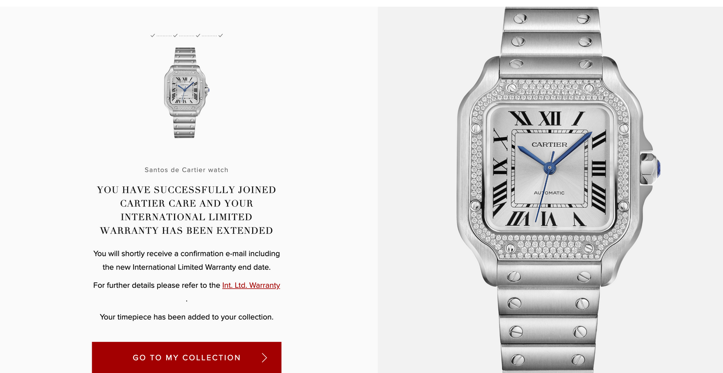 2022 Cartier Santos Diamond Bezel Medium W4SA0009