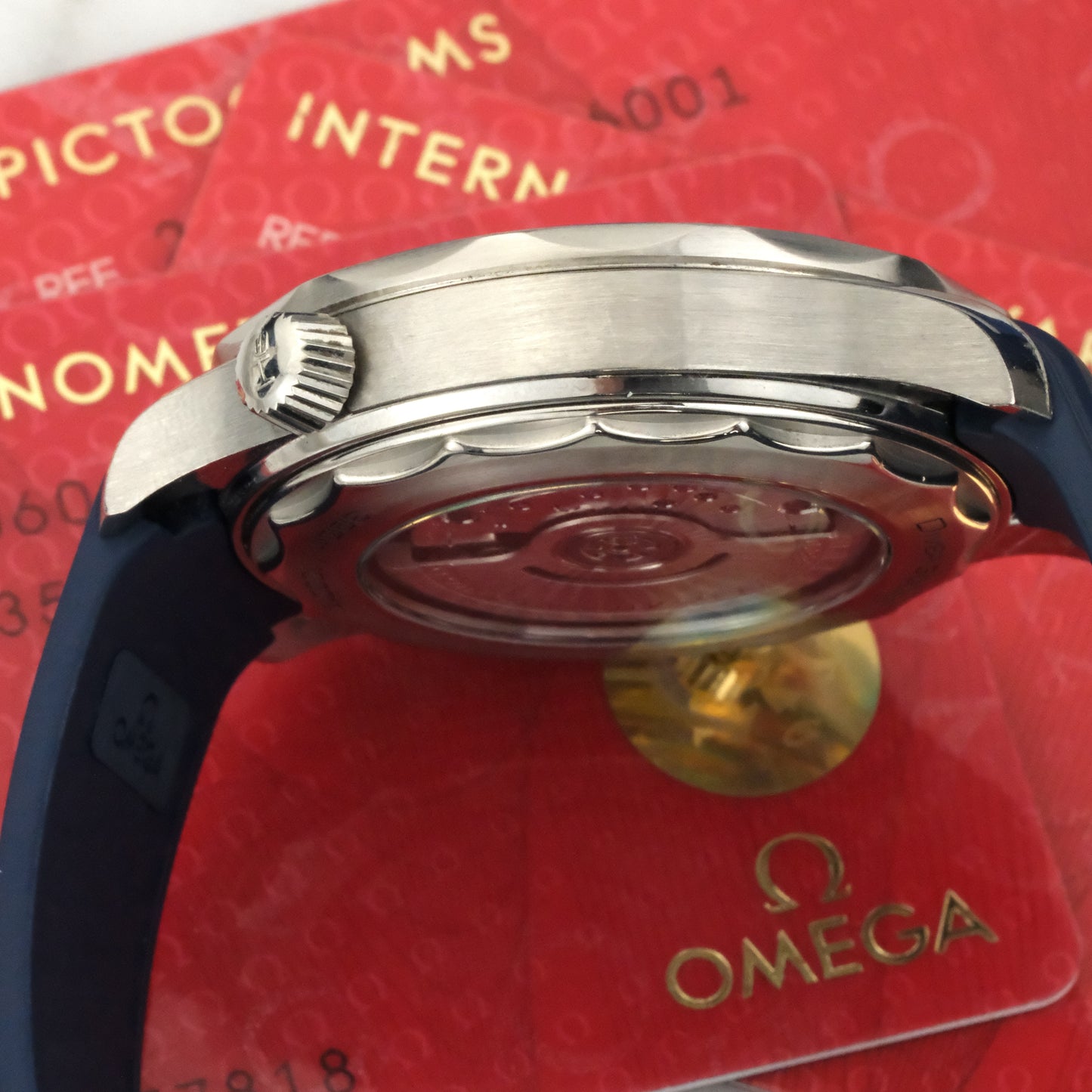 2024 Omega Seamaster 300 Diver | 210.32.42.20.06.001