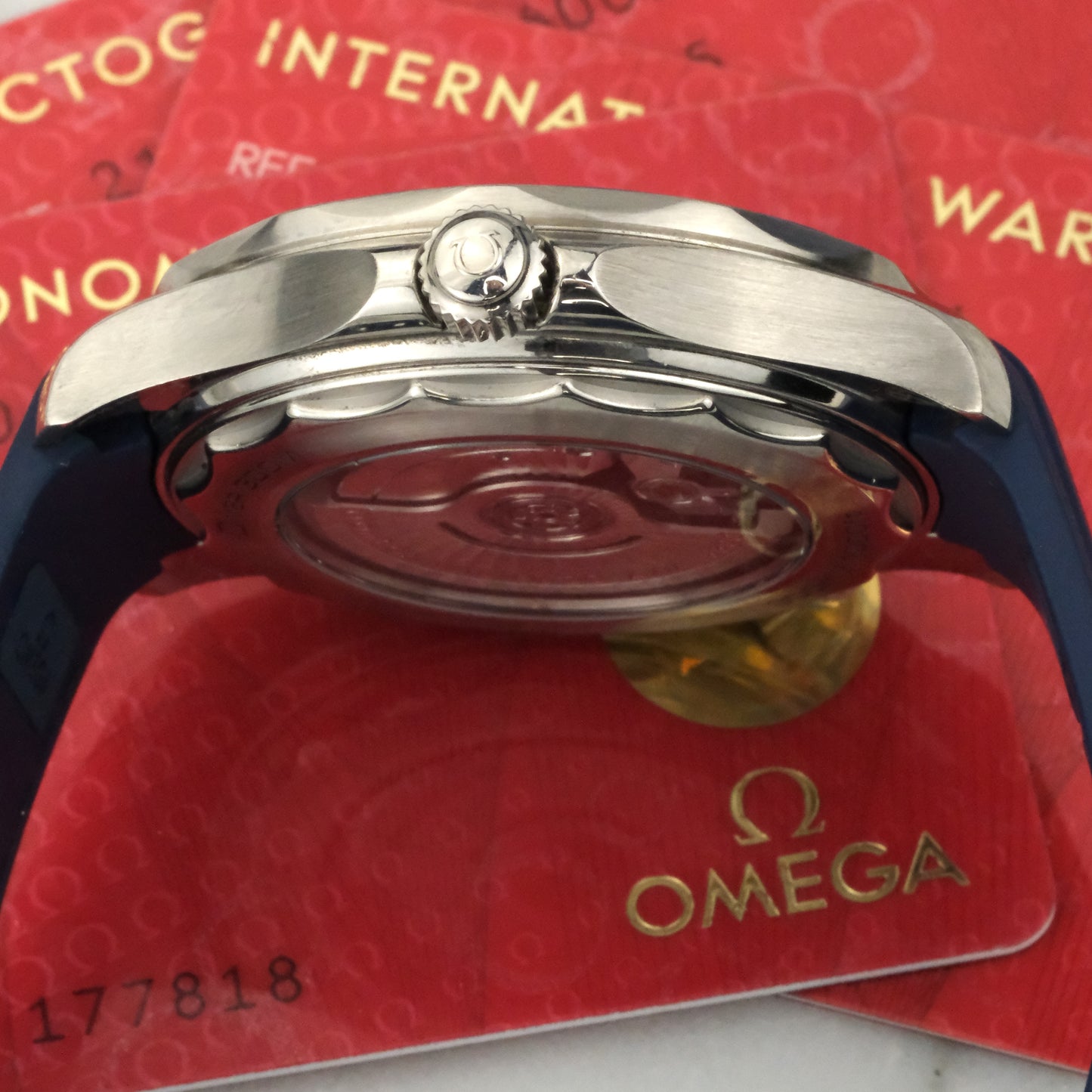 2024 Omega Seamaster 300 Diver | 210.32.42.20.06.001